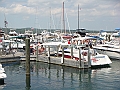 Western Michigan [2010] 228